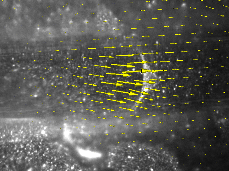 An atomic force microscope (AFM) deforms a fibrin sheet suspended over a channel. Yellow glyphs indicate net computed flow.