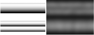 An unintuitive image of surface-labeled tubes in a fluorescence microscope. Tube models are shown on the left and a simulated fluorescence image is shown on the right. Counterintuitively, a single tube appears as two parallel tubes in the simulated fluorescence image (top) while two parallel tubes of half the diameter appear as a single solid tube (bottom).