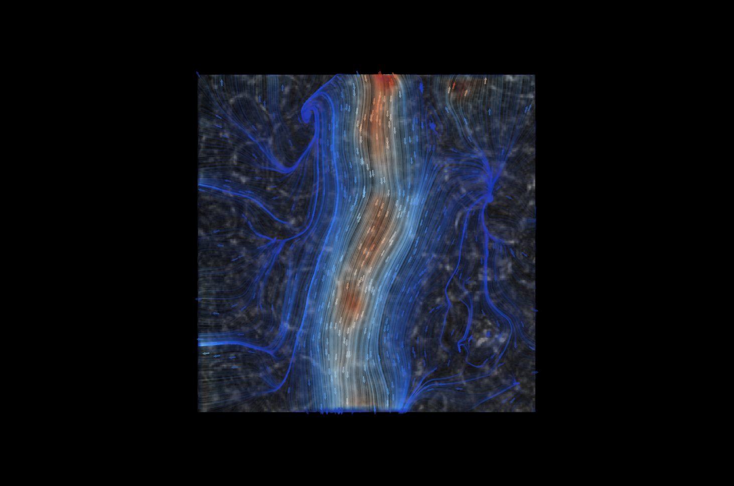 Cilia-driven mucus flow visualization by David Borland