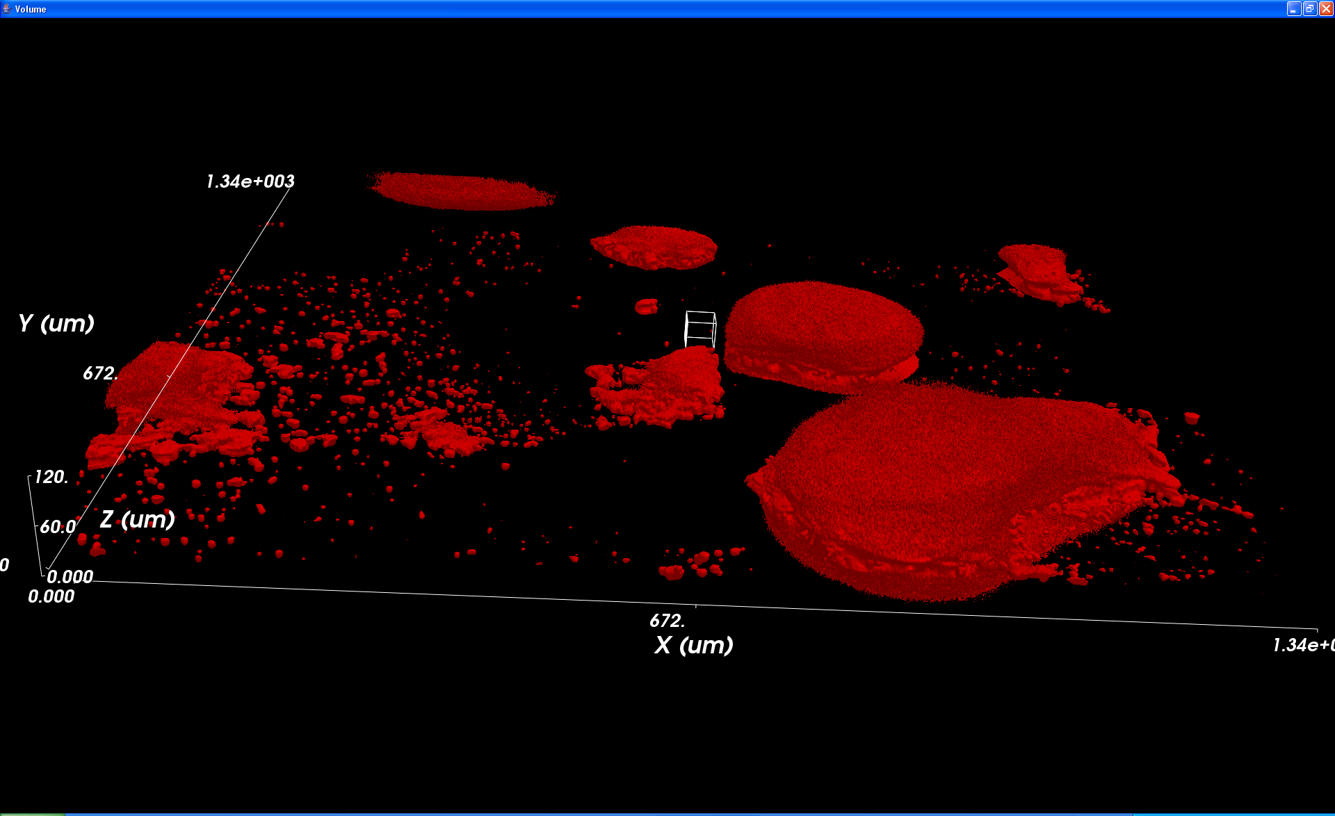 ImageSurfer 3D view of epithelial cells