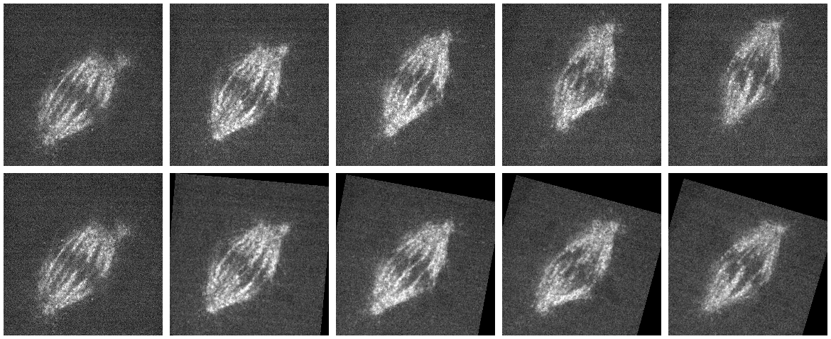 Fluorescence microscopy of mitotic spindle with drift (top) and result of image stabilization (bottom).